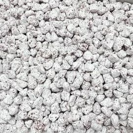 Τριαντάφυλλο Λιβάνι Αγίου Όρους